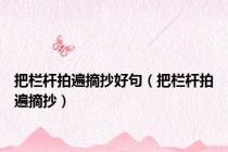 把栏杆拍遍摘抄好句（把栏杆拍遍摘抄）