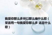 我爱你那么多所以那么痛什么歌（里面有一句我爱你那么多 这是什么歌）
