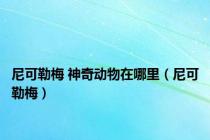 尼可勒梅 神奇动物在哪里（尼可勒梅）