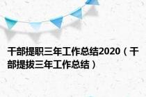 干部提职三年工作总结2020（干部提拔三年工作总结）