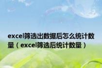 excel筛选出数据后怎么统计数量（excel筛选后统计数量）