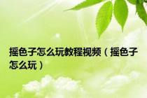摇色子怎么玩教程视频（摇色子怎么玩）