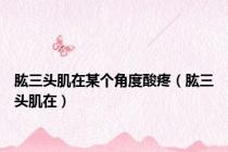 肱三头肌在某个角度酸疼（肱三头肌在）