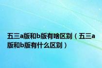 五三a版和b版有啥区别（五三a版和b版有什么区别）