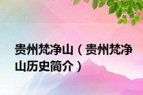 贵州梵净山（贵州梵净山历史简介）