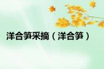 洋合笋采摘（洋合笋）