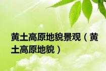 黄土高原地貌景观（黄土高原地貌）