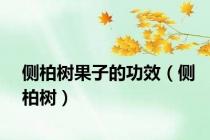 侧柏树果子的功效（侧柏树）