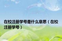 在校注册学号是什么意思（在校注册学号）