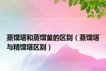 蒸馏塔和蒸馏釜的区别（蒸馏塔与精馏塔区别）