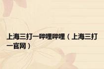 上海三打一哔哩哔哩（上海三打一官网）