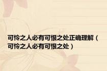 可怜之人必有可恨之处正确理解（可怜之人必有可恨之处）