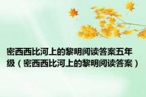 密西西比河上的黎明阅读答案五年级（密西西比河上的黎明阅读答案）