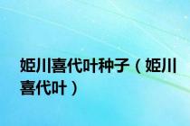 姫川喜代叶种子（姫川喜代叶）