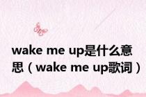 wake me up是什么意思（wake me up歌词）