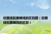 纹眼线和美瞳线的区别图（纹眼线和美瞳线的区别）