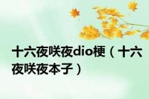 十六夜咲夜dio梗（十六夜咲夜本子）