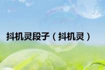 抖机灵段子（抖机灵）
