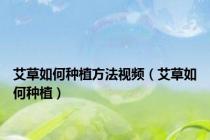 艾草如何种植方法视频（艾草如何种植）