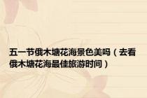 五一节俄木塘花海景色美吗（去看俄木塘花海最佳旅游时间）