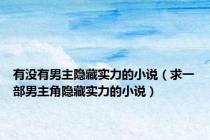 有没有男主隐藏实力的小说（求一部男主角隐藏实力的小说）