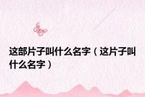 这部片子叫什么名字（这片子叫什么名字）