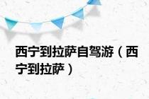 西宁到拉萨自驾游（西宁到拉萨）