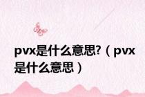 pvx是什么意思?（pvx是什么意思）