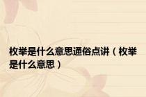 枚举是什么意思通俗点讲（枚举是什么意思）