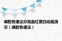 凝胶色谱法分离血红蛋白动画演示（凝胶色谱法）