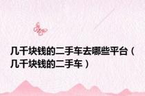 几千块钱的二手车去哪些平台（几千块钱的二手车）