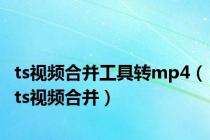 ts视频合并工具转mp4（ts视频合并）