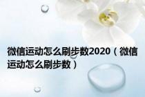 微信运动怎么刷步数2020（微信运动怎么刷步数）