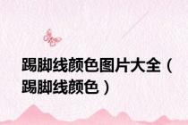 踢脚线颜色图片大全（踢脚线颜色）