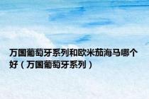 万国葡萄牙系列和欧米茄海马哪个好（万国葡萄牙系列）