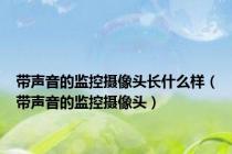 带声音的监控摄像头长什么样（带声音的监控摄像头）