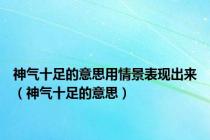 神气十足的意思用情景表现出来（神气十足的意思）