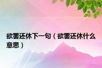欲罢还休下一句（欲罢还休什么意思）