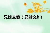 兄妹文案（兄妹文h）