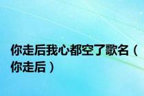 你走后我心都空了歌名（你走后）