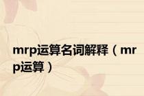 mrp运算名词解释（mrp运算）