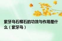 紫牙乌石榴石的功效与作用是什么（紫牙乌）