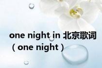 one night in 北京歌词（one night）