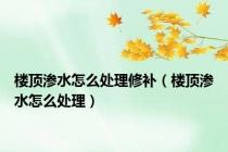 楼顶渗水怎么处理修补（楼顶渗水怎么处理）