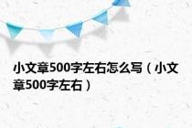 小文章500字左右怎么写（小文章500字左右）