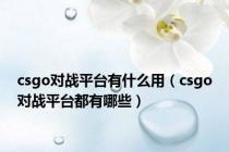csgo对战平台有什么用（csgo对战平台都有哪些）