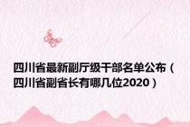 四川省最新副厅级干部名单公布（四川省副省长有哪几位2020）