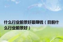什么行业前景好最赚钱（目前什么行业前景好）