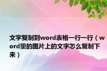 文字复制到word表格一行一行（word里的图片上的文字怎么复制下来）