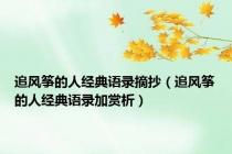 追风筝的人经典语录摘抄（追风筝的人经典语录加赏析）